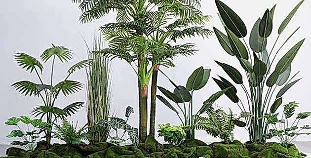 BİTKİLER NEDEN YAPRAK DÖKER ?