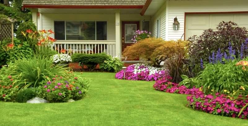 Ev Bahçenizi Renklendirin: 5 Pratik Öneri