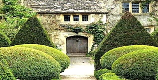 TOP TOP AĞAÇLARIMIZ VAR!