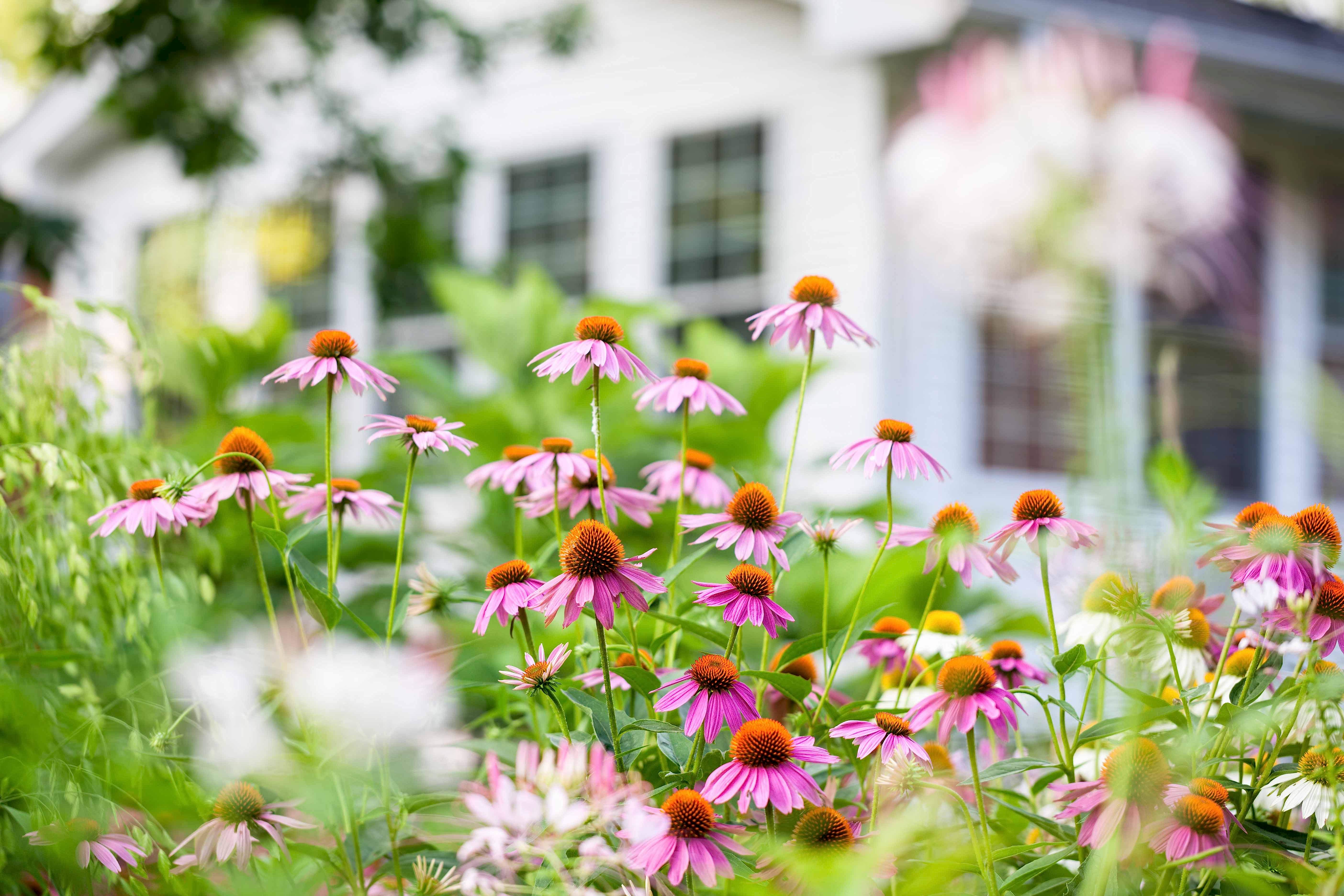Ekşioğlu PEYZAJ Mimarlık